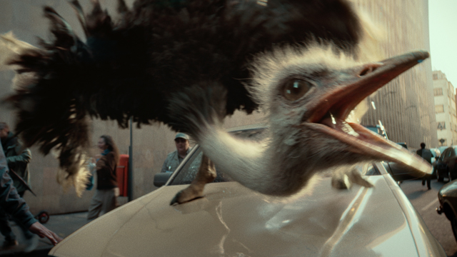 O2 OSTRICH + SUBWAY